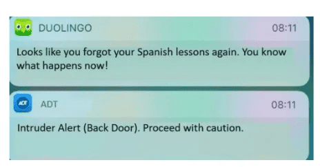 一个关于 Duolingo 的「推送通知」在 2019 年走红的梗