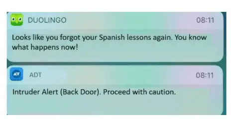 一个关于 Duolingo 的「推送通知」在 2019 年走红的梗